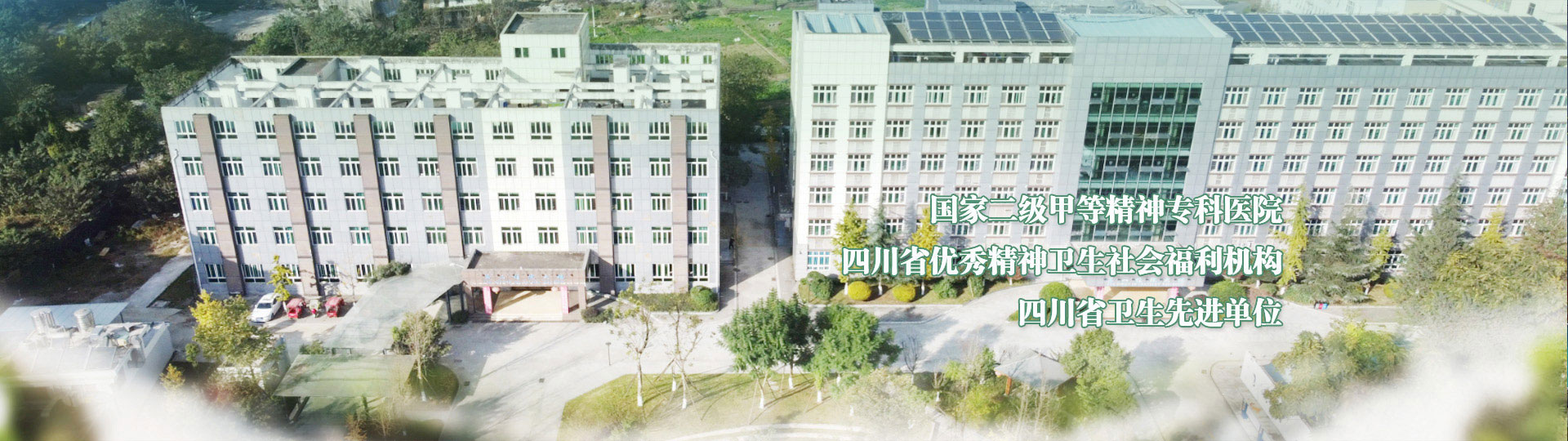 大楼分布